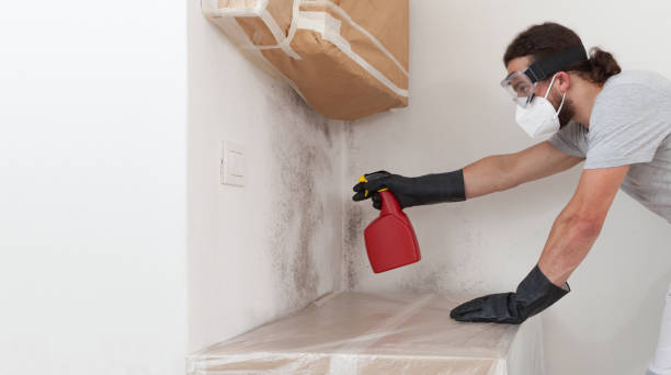 Professional Black Mold Remediation technician working in Chester, PA
